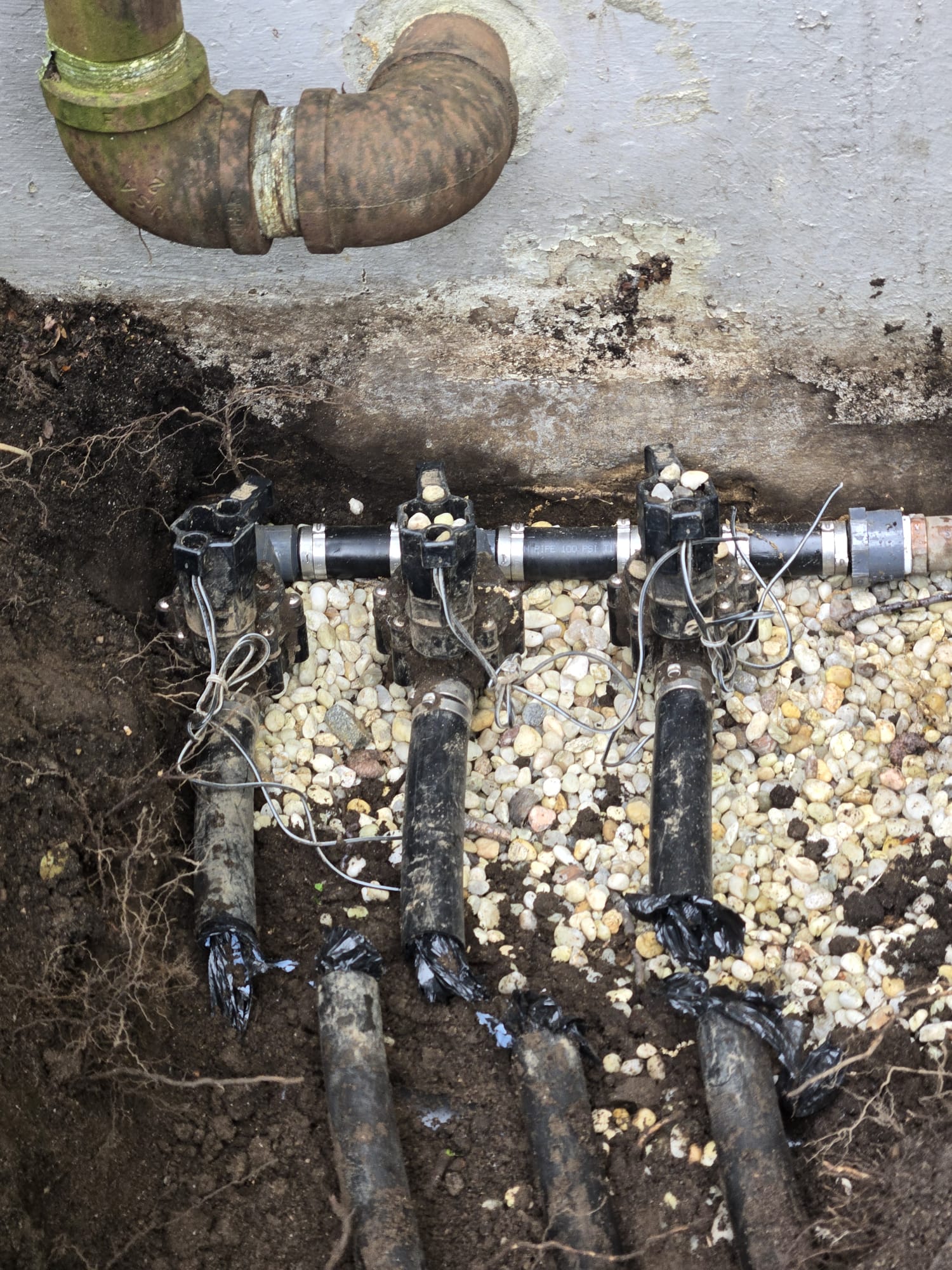 WhatsApp Image 2026-01-16 at 4.21.26 PM